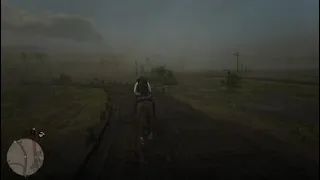 Red Dead Redemption 2. Часть 36