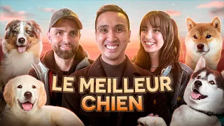 Compétition de la meilleure race de Chien (ft @EspritDog)