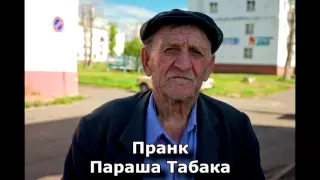 Коллекция пранков - Параша Табака