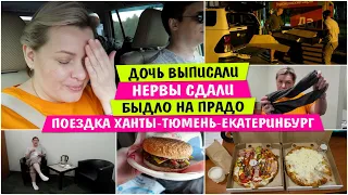 Дочь выписали / Нервы сдали / Быдло на ПРАДО / ПОЕЗДКА Ханты-Тюмень-Екатеринбург/ Vika Siberia Vlog