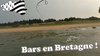 Pêche du BAR aux leurres de la plage en Bretagne !