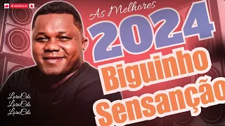 BIGUINHO SENSAÇÃO AS MELHORES. BIGUINHO SENSAÇÃO ARROCHA 2024. BIGUINHO SENSAÇÃO SUCESSO