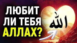 3 ПРИЗНАКА ТОГО, ЧТО АЛЛАХ ЛЮБИТ ТЕБЯ! | Dawah медиа