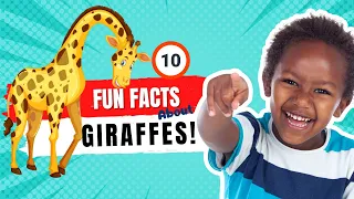 Giraffe :10 Fun Facts About Giraffes for Kids !