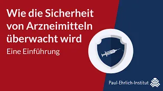 Wie die Sicherheit von Arzneimitteln überwacht wird - Eine Einführung