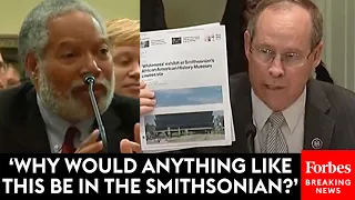 Greg Murphy Confronts Head Of Smithsonian About 'Whiteness' Exhibit