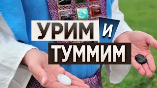 #188 Урим и Туммим - Алексей Осокин - Библия 365 2 сезон