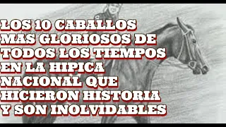 TOP 10 MEJORES CABALLOS DE LA HISTORIA HIPICA NACIONAL