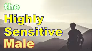 The Highly Sensitive Male