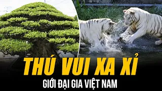 NHỮNG THÚ VUI ĐỘC LẠ CỦA GIỚI ĐẠI GIA VIỆT NAM | CHI 300 TỶ CHƠI BONSAI - XÂY HẦM MỘ CHO RIÊNG MÌNH