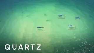 A drone that prevents shark attacks