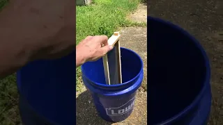 Honey bee swarm trap mid-Missouri