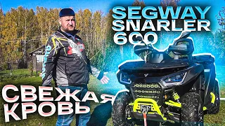 Обзор АТV Seqway Snarler 600. Свежая кровь.