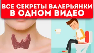 Это не знают даже аптекари! 10 применений валерьянки, которые вас точно удивят (4-е — бомба!)