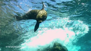 Galapagos Islands Expedition 2012