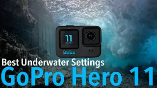 GOPRO HERO 11 BEST SETTINGS UNDERWATER AND LITTLE KNOWN HACK