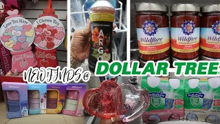 DOLLAR TREE * NEW FINDS FOR 2024