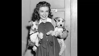 10 Things You Should Know About Joan Leslie