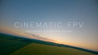 Unplanned Sunset Whoop || CINEMATIC FPV DRONE 4K -  (GoPro HERO 9)