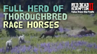 Red Dead Redemption 2: Full Herd of Thoroughbred Horses | Female Guide | Location