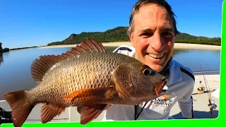 2 Day Solo Boat camping - Island paradise - Catch and Cook - Day 1 - EP.569