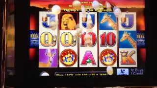 Pride Of Africa Slot machine Bonus Retrigger