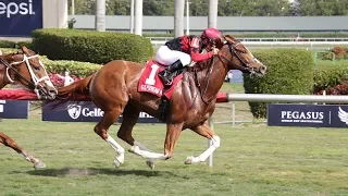 Gulfstream Park Carrera 6 (9th Running of The Ladie's Turf Sprint  - 27 de Enero 2018