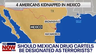 Should Mexican drug cartels be designated as terrorist groups? | LiveNOW from FOX