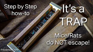 Rat or Mouse Trap Box of Certain Death, how to build your own. Safe for pets and children.