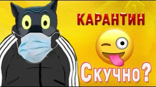 ✔️Вам скучно на карантине ? Мне вот нет. С добрым утром. Анекдоты с Волком.  #ВГостяхУВолка