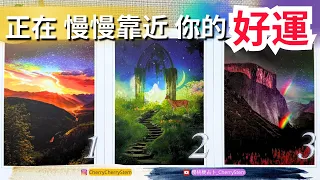 🍒 💝 領取你的好運｜發現好運, 抓住奇蹟, 創造你的新旅程♥️ 有字幕 🟣無時間限制占卜 🟡  #塔羅 #占卜 #字卡 #tarot #oracle #愛情 #事業 #奇蹟 #好運