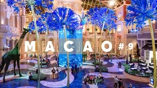 #9 МАКАО Шоу, которое должен видеть каждый Dance Water, отели Wynn Palace и MGM, вкусный ужин