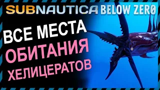 Subnautica BELOW ZERO ХЕЛИЦЕРАТ ВСЕ МЕСТА ОБИТАНИЯ