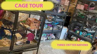 Rat Cage Tour (3 Critter Nations)