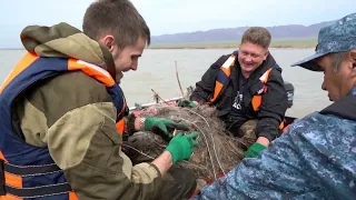 Чистые пруды 2024 с Мастер лодок Алматы