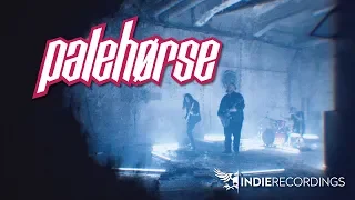 Palehørse - Pale Horse (Official Music Video)