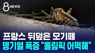 '뎅기열 폭증' 프랑스 비상…"올림픽 어떡해" 커지는 걱정 / SBS 8뉴스