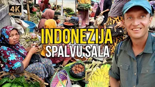 Kelionė į Indoneziją, Lombok Salą. Krištoliniai paplūdimiai, ryžių terasos ir gatvinės jūrų gėrybės