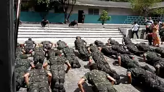 Exército brasileiro