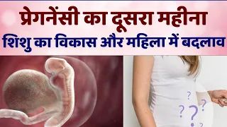 Garbhavastha ka Dusra Mahina | Pregnancy ka dusra mahina kaisa hota hai #Pregnancytips Hindi