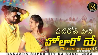 పడ్డారోచ పాణి హోల్లరోయే  video song promo #anilchawan #rojabai #rsbanjaramusic #raj #renurathod