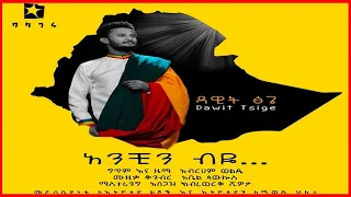 Dawit Tsige   አንቺን ብዬ Anchin Beye  New Ethiopian Single 2021 Official Audio
