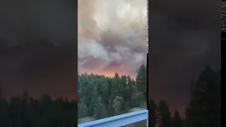 Rare footage of Paradise, CA