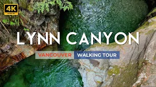 🇨🇦 [4K] Lynn Canyon Suspension Bridge | Best Hikes In Vancouver | Relaxing Walking Tour | Canada