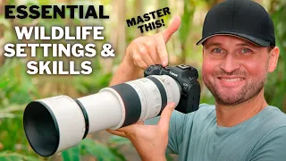 GO-TO SETTINGS For Bird & Wildlife PHOTOGRAPHY  | Have YOU Mastered The MOST IMPORTANT SKILL?