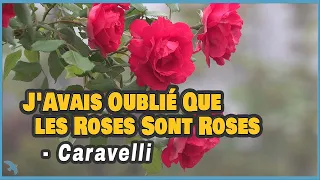[4K] Caravelli - J'Avais Oublié Que Les Roses Sont Roses(I Had Forgotten that Roses Are Red) 1973