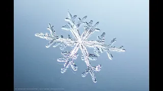 The Snowflake Photographer Intro