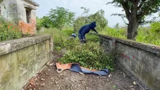 Eye-catching transformation of abandoned house - Clear grass and cut overgrown trees