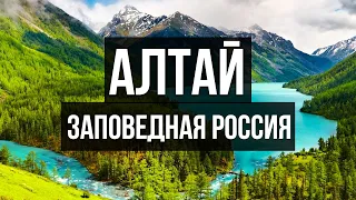 Перевал Кату-Ярык. Алтай: автопутешествие по России! Заповедная Россия.