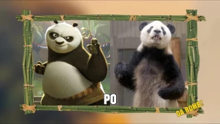 Kung Fu Panda characters in real life